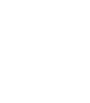 ゴリラの顔
